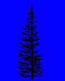 pine2.spr Preview