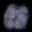 sg_open.spr frame 11