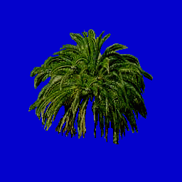 palmtree1.spr Preview