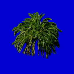 palmtree1.spr frame 0