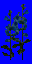 test-flower.spr Preview