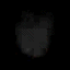 richo2.spr frame 12