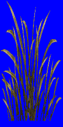 busk8.spr frame 0