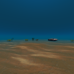 ocean_