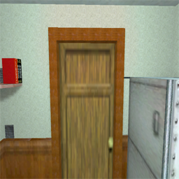 rats