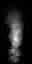 xssmke1_fix.spr frame 8