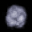 sg_open.spr frame 7