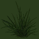 grass_01.spr frame 0