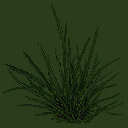 grass_01.spr Preview