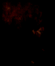 gexplo.spr frame 20