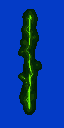teleport.spr frame 5