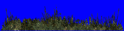 p_trava.spr Preview