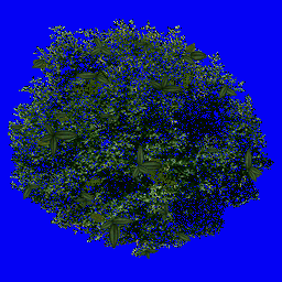 h17_gepebo_1a.spr Preview