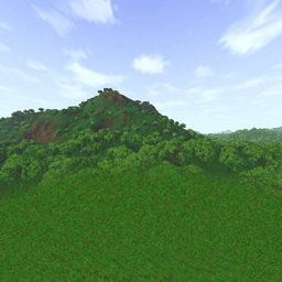 forest256_