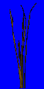 ikgrass2.spr frame 0