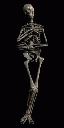 skeleton1.spr Preview