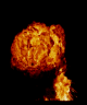gexplo.spr frame 13