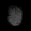 richo2.spr frame 9