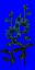 test-flower.spr frame 0
