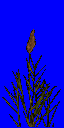 ikgrass3.spr frame 0